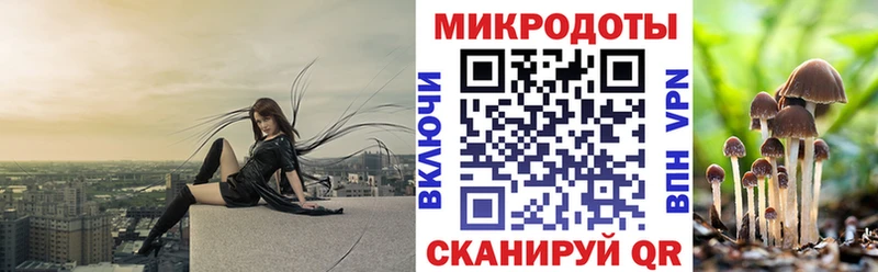 Купить где  Мамадыш  Псилоцибиновые грибы прущие грибы 